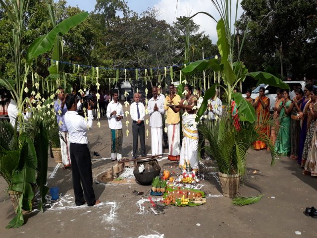 Thaipongal Festival_16.01.2019